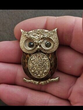 1980s Gold Tone With Brown & Clear Rhinestones Owl Brooch